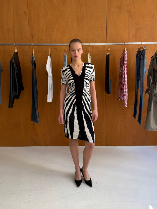 Cavalli Dress